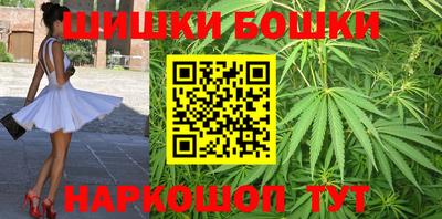 Альфа ПВП Аргун