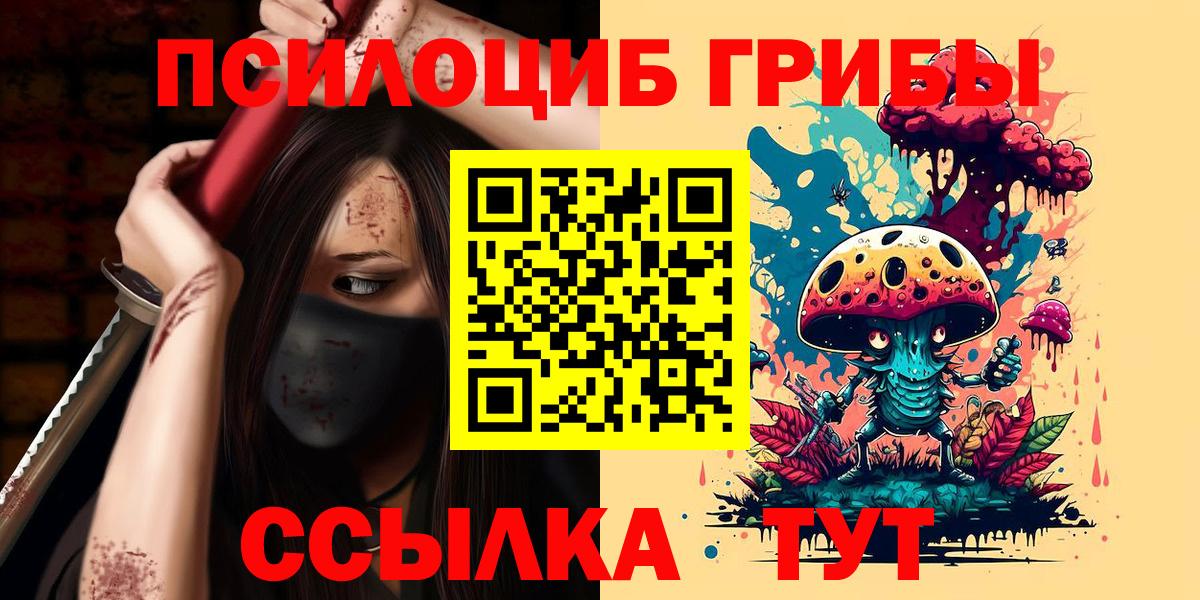 как найти наркотики  Краснодар  Псилоцибиновые грибы MAGIC MUSHROOMS 