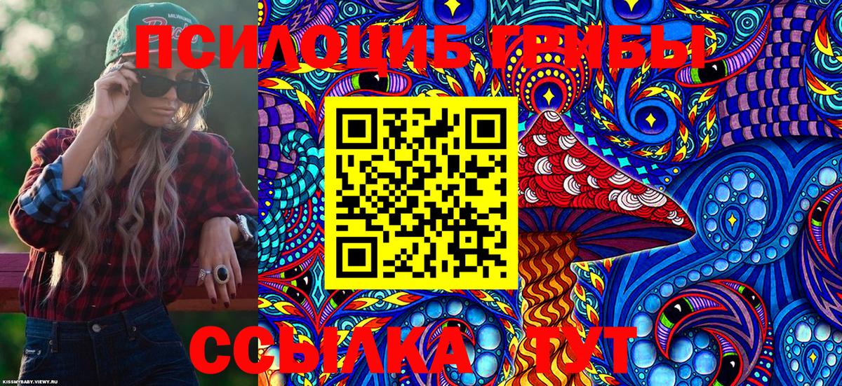 Галлюциногенные грибы Psilocybe Краснодар