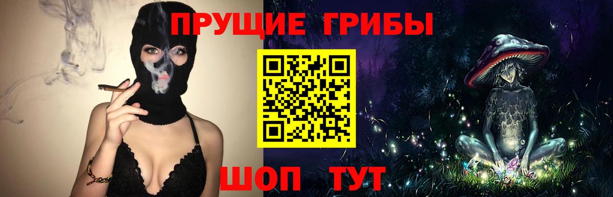 Краснодар  Галлюциногенные грибы Cubensis  Вход с VPN 