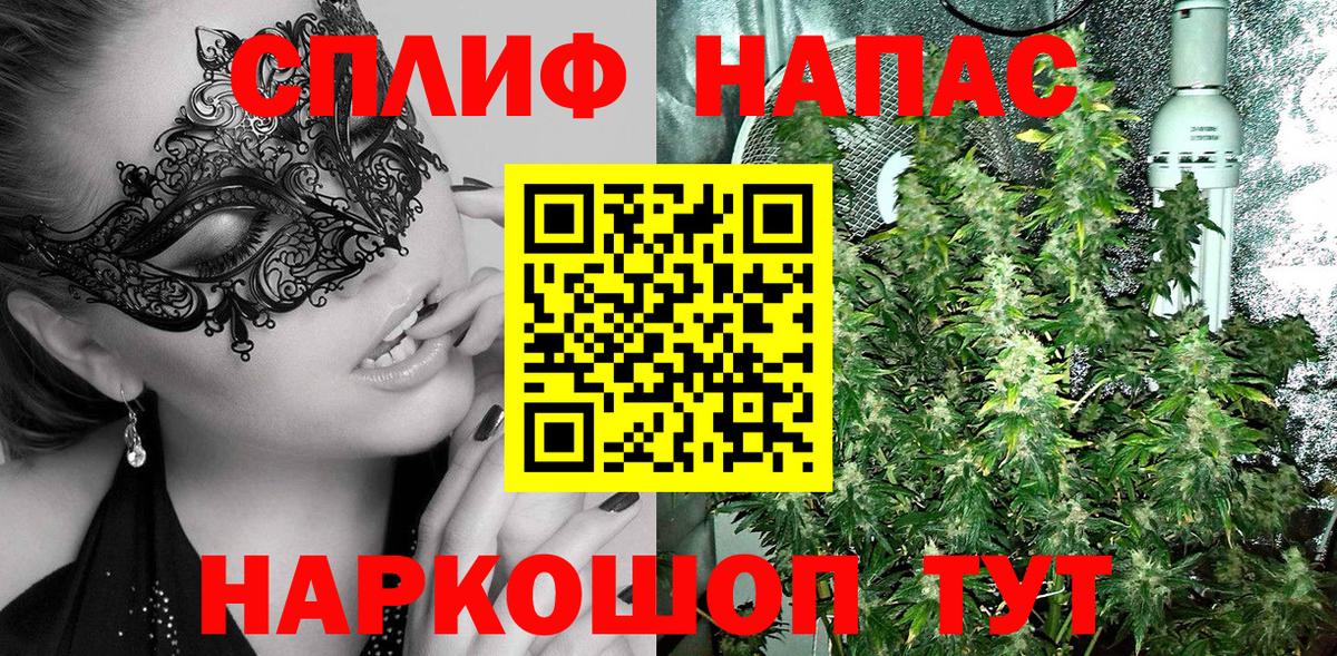 Конопля SATIVA & INDICA Краснодар