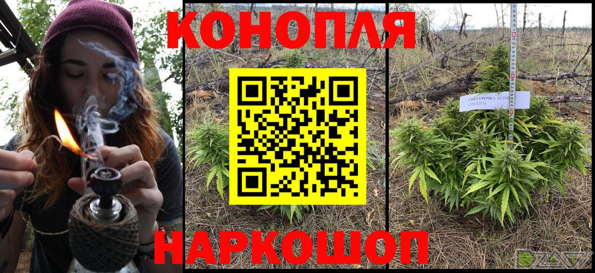 Бошки марихуана ГИДРОПОН  Канабис MAZAR  Конопля ГИДРОПОН  Краснодар  Вход с VPN  Каннабис марихуана 